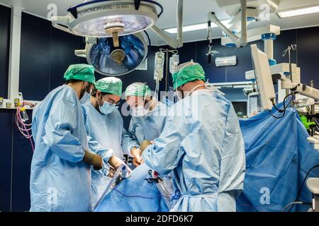 Retrait des reins par laparoscopie d'un donneur vivant apparenté, hôpital de Bordeaux, France. Banque D'Images