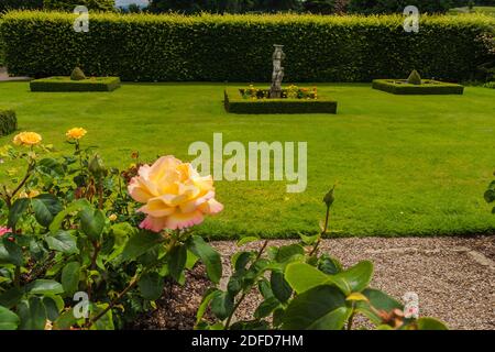 Les roseraies colorées du château de Raby, Staindrop, Co.Durham, Angleterre, Royaume-Uni Banque D'Images