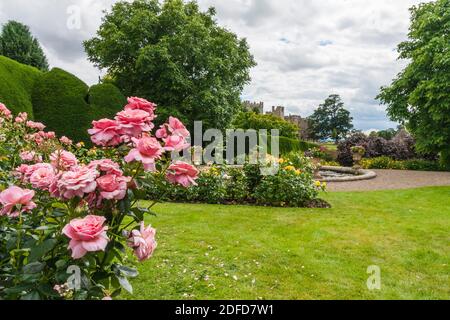 Les jardins colorés à Raby Castle,Staindrop,Co.Durham, Angleterre, Royaume-Uni Banque D'Images