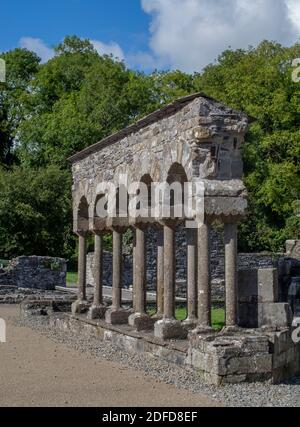 Détail de l'abbaye de Mellifont Banque D'Images