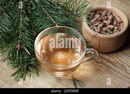 Pinèdes tisanes de vitamine thé dans une tasse de verre avec des aiguilles et des bourgeons à proximité sur le bois rustique, de gros plan, de l'espace de copie, des boissons aux herbes vitaminées et de la naturopathie co Banque D'Images