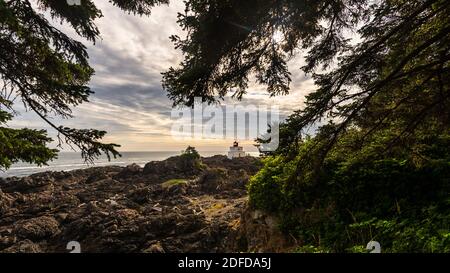 Phare d'Amphitrite point à l'intérieur de la boucle du phare Ucluelet du sentier du Pacifique sauvage, Ucluelet, île de Vancouver, C.-B., Canada Banque D'Images