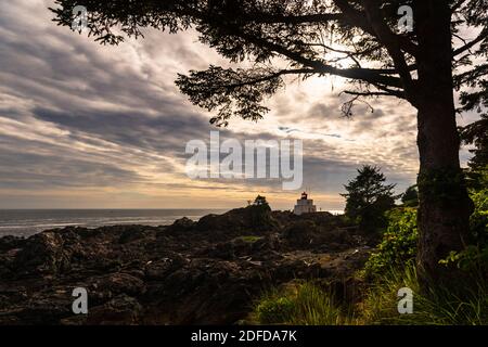 Phare d'Amphitrite point à l'intérieur de la boucle du phare Ucluelet du sentier du Pacifique sauvage, Ucluelet, île de Vancouver, C.-B., Canada Banque D'Images