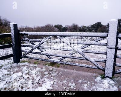 Neige dans Great Bardfield Braintree Essex. C'est tôt pour cette partie du pays Banque D'Images