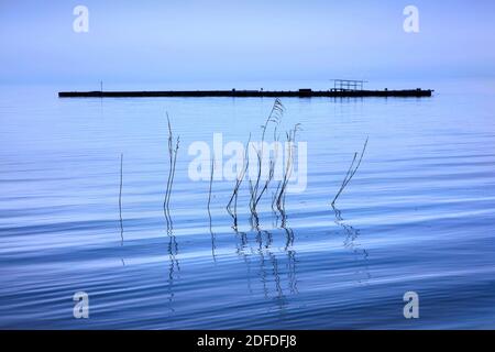 FLORINA, MACÉDOINE, GRÈCE. Plage de Kula, lac Megali Prespa. Banque D'Images