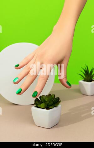 Les mains de la femme sont belles et soignées avec le motif printemps-été des ongles arrière-plan vert Banque D'Images