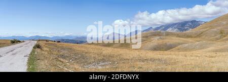 Paysage panoramique avec des chevaux sur des pentes stériles et des routes en pente descendante avec la crête de Gran Sasso en arrière-plan, prises en lumière vive de près de F Banque D'Images