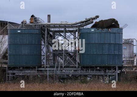 Avonmouth. 4 décembre 2020. La photo prise le 4 décembre 2020 montre une vue générale de la scène d'une explosion dans une usine de traitement des eaux usées à Avonmouth, près de la ville sud-ouest de Bristol, dans l'ouest de l'Angleterre, en Grande-Bretagne. Quatre personnes ont été tuées jeudi lors d'une grande explosion dans un centre de traitement des eaux usées d'Avonmouth, a confirmé la police locale. Credit: Han Yan, Tim Ireland/Xinhua/Alamy Live News Banque D'Images