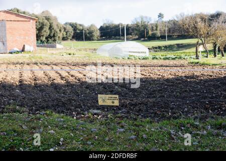 Clôture électrique pour le bétail pour protéger la production de jardin des animaux sauvages. Jaune signe qui dit ¨ électrique escrime ¨ en espagnol et a un dessin Banque D'Images