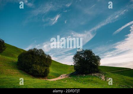 Un randonneur marchant sur un sentier à Mission Peak Preserve En Californie Banque D'Images
