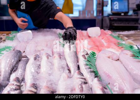 fishmonger servant du poisson à son client Banque D'Images