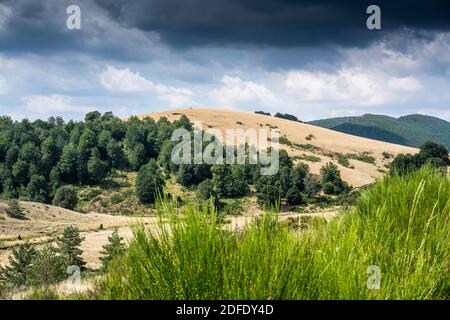 Parc national de Cévennes, France, Europe Banque D'Images