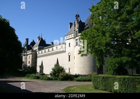 château médiéval et renaissance à brézé en france Banque D'Images