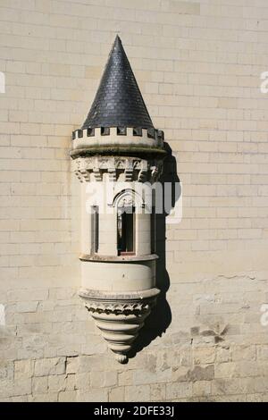 château médiéval et renaissance à brézé en france Banque D'Images