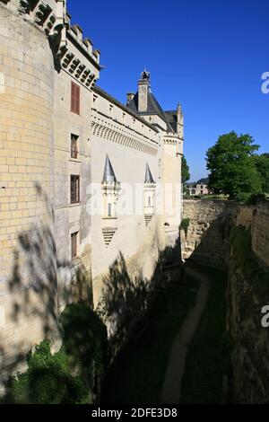 château médiéval et renaissance à brézé en france Banque D'Images