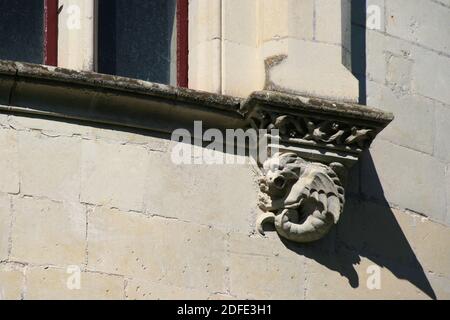 château médiéval et renaissance à brézé en france Banque D'Images