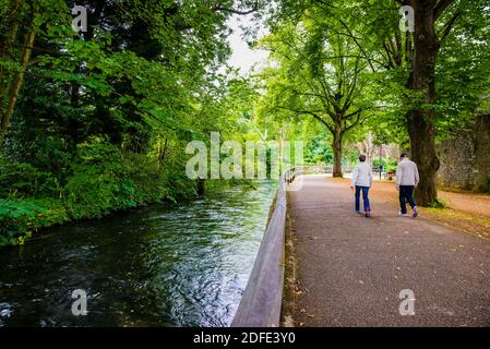 Sentier le long de la rivière Itchen. Winchester, Hampshire, Angleterre, Royaume-Uni, Europe Banque D'Images