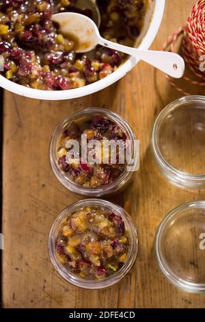 Mincemète: Canneberges, raisins secs, zeste d'agrumes, suet, sucre brun en pots - cadeau de noël Banque D'Images