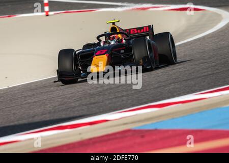 08 Daruvala Jehan (ind), Carlin, Dallara F2 2018, action lors de la 12ème manche du Championnat de Formule 2 2020 de la FIA du 4 au 6 décembre 2020 sur le circuit international de Bahreïn, à Sakhir, Bahreïn - photo Diederik van der Laan / Dutch photo Agency / DPPI / LM Banque D'Images