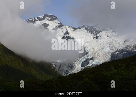 Sealy Trans Trail dans le parc national de Mt Cook Banque D'Images