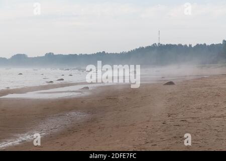 Le brouillard vient de la mer. Plage de sable, Estonie. Banque D'Images