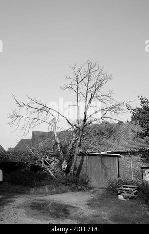 Un cliché vertical en niveaux de gris des ruines d'un ancien bâtiment avec dans un champ Banque D'Images