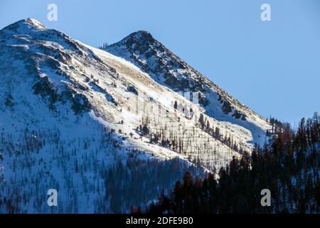 Neige couverte de Simmons Peak ; altitude 12.050' ; près de Salida ; Colorado ; États-Unis Banque D'Images
