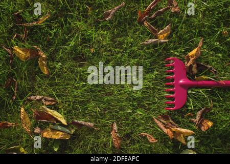 Nettoyage des feuilles d'automne dans le jardin. Râteler sur un bâton de bois et un feuillage d'automne coloré. Outils de jardin Banque D'Images