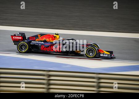 23 ALBON Alexander (tha), Aston Martin Red Bull Racing Honda RB16, action pendant la Formule 1 Rolex Sakhir Grand Prix 2020, du 4 au 6 décembre 2020 sur le circuit international de Bahreïn, à Sakhir, Bahreïn - photo Florent Gooden / DPPI / LM Banque D'Images