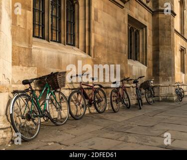 CAMBRIDGE, Royaume-Uni - 24 AVRIL 2010 : vélos pendus contre un vieux mur d'université Banque D'Images