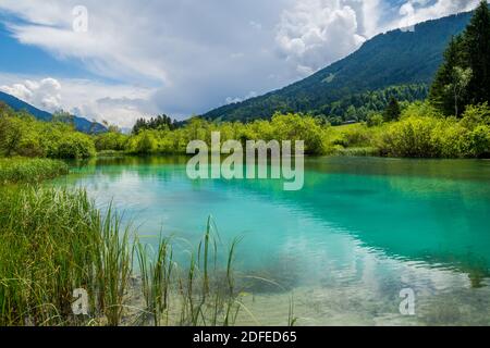 Magnifique Slovénie sur kranjska Gora et la réserve naturelle de Zelenci Banque D'Images