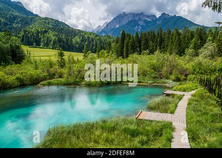 Magnifique Slovénie sur kranjska Gora et la réserve naturelle de Zelenci Banque D'Images