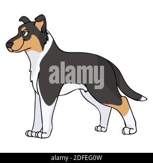 Joli chien lisse collie Breed à la main, motif vectoriel sans couture. Chien pedigree de race pure chien domestique sur fond de patte. Chien amoureux jouet spaniel animal de compagnie tous Illustration de Vecteur