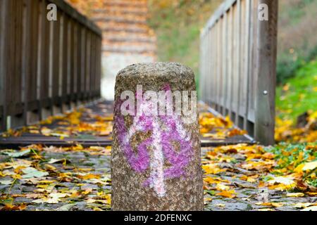 Flèche rose pointant vers le haut, parc d'automne Banque D'Images