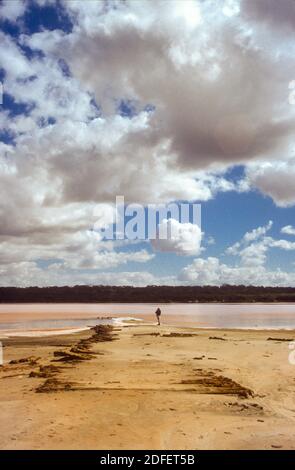 Parc national Murray-Sunset, Australie. Vestiges de la jetée de Saltworks, lac Kenyon, lacs Pink Banque D'Images