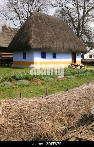 Musée du village, Bucarest, Roumanie. Authentique maison du XIXe siècle du comté d'Alba, avec toit de chaume. Banque D'Images