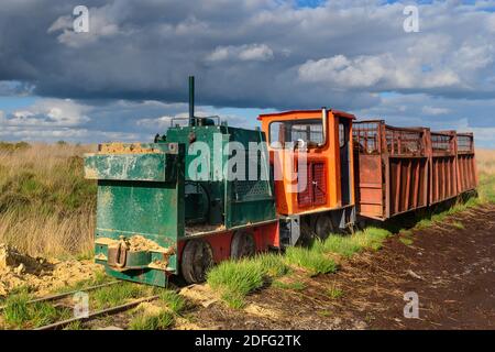 Moorbahn, Torfbahn, Torfloren im Moor, Banque D'Images