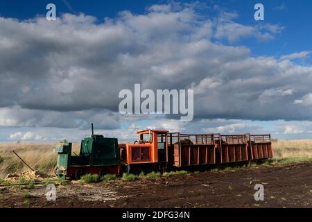 Torfbahn, Torfloren im Moor, Banque D'Images