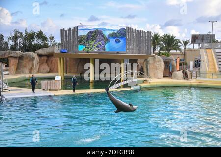 Le Marineland est un parc à thème situé à Antibes (Alpes-Maritimes), sur la Côte d'Azur. Sur 26 hectares, il comprend un parc zoologique marin avec delphinarium, un parc aquatique (Aquasplash), un parc de jeux pour enfants (Kidd's Island), un mini-golf (aventure Golf) et un hôtel trois étoiles (Marineland Resort). Elle est la propriété de la multinationale espagnole Parques Reunidos, dont l'actionnaire majoritaire est le fonds d'investissement britannique Arle Capital Partners. C'est l'un des quatre dolphinariums français et l'un des deux dolphinariums européens présentant des orques. Avec 1.2 millions de visiteurs en 2014, c'est le plus Banque D'Images