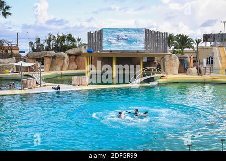 Le Marineland est un parc à thème situé à Antibes (Alpes-Maritimes), sur la Côte d'Azur. Sur 26 hectares, il comprend un parc zoologique marin avec delphinarium, un parc aquatique (Aquasplash), un parc de jeux pour enfants (Kidd's Island), un mini-golf (aventure Golf) et un hôtel trois étoiles (Marineland Resort). Elle est la propriété de la multinationale espagnole Parques Reunidos, dont l'actionnaire majoritaire est le fonds d'investissement britannique Arle Capital Partners. C'est l'un des quatre dolphinariums français et l'un des deux dolphinariums européens présentant des orques. Avec 1.2 millions de visiteurs en 2014, c'est le plus Banque D'Images