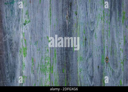mur en bois gris décoloré avec des restes de peinture verte qui s'écaille et les taches de pourriture Banque D'Images