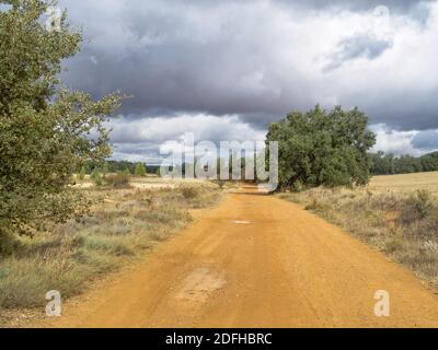 De lourds nuages sombres sur la route romaine via Trajana - Calzadilla de los Hermanillos, Castille et Leon, Espagne Banque D'Images