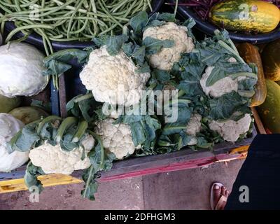 Thrissur, Kerala, Inde - 12-04-2020: Chou-fleur en vente dans un magasin de légumes Banque D'Images