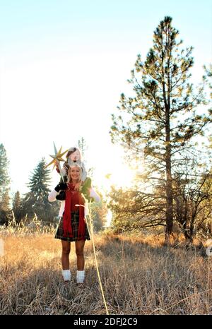 Noël dans les bois Banque D'Images