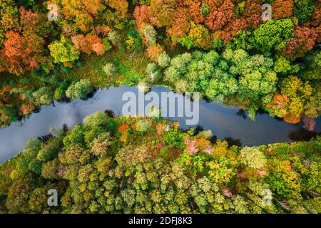 Vue de haut en bas de la rivière sinueuse d'automne en Pologne, vue aérienne Banque D'Images