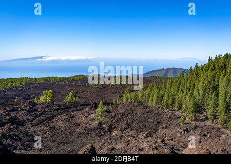 paysage sur l'île de ténérife avec mer et désert Banque D'Images