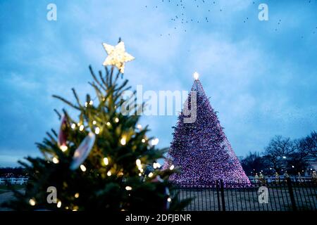 Washington, États-Unis. 5 décembre 2020. Photo prise le 4 décembre 2020 montre l'arbre de Noël national près de la Maison Blanche à Washington, DC, les États-Unis. Credit: Liu Jie/Xinhua/Alay Live News Banque D'Images