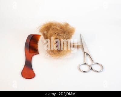 Une touffe de cheveux après avoir été coupée, posée à côté d'une paire de ciseaux, peigne. Concept autour de la coiffure et du travail. Banque D'Images