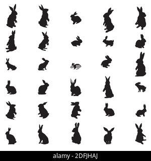 Définir la silhouette de Pâques de lapin et de lièvre. Illustration vectorielle Illustration de Vecteur