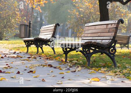 Deux bancs en bois et en fer vides dans le parc public un matin ensoleillé d'automne avec des feuilles mortes Banque D'Images